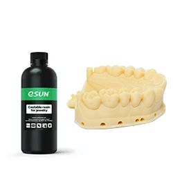 Dental Resins